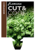 coriander.png