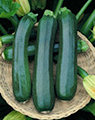 zucchini