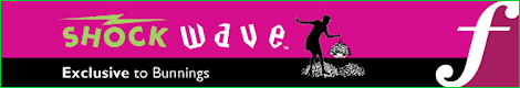 masthead.png