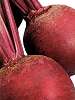 beetroot.jpg