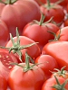 tomato.jpg